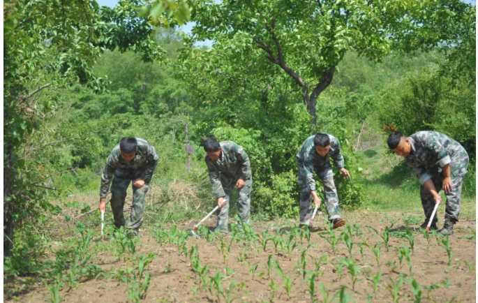 高新区集中清理小开荒 保护生态环境