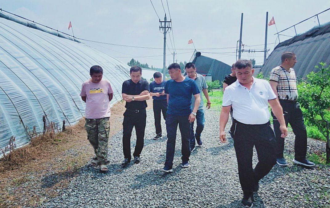 新疆乌雪特乡考察团到高新区交流学习