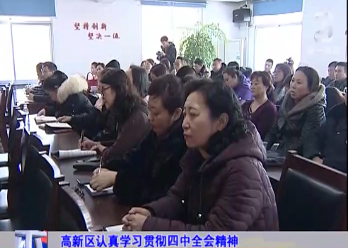 高新区认真学习贯彻四中全会精神