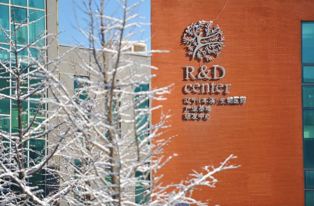药都之冬 雪的邂逅