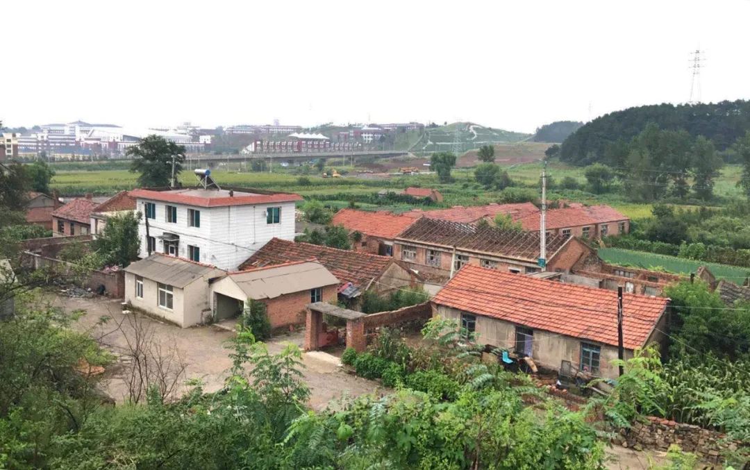 【走向我们的小康生活】村民动迁住新楼 日子越过越红火