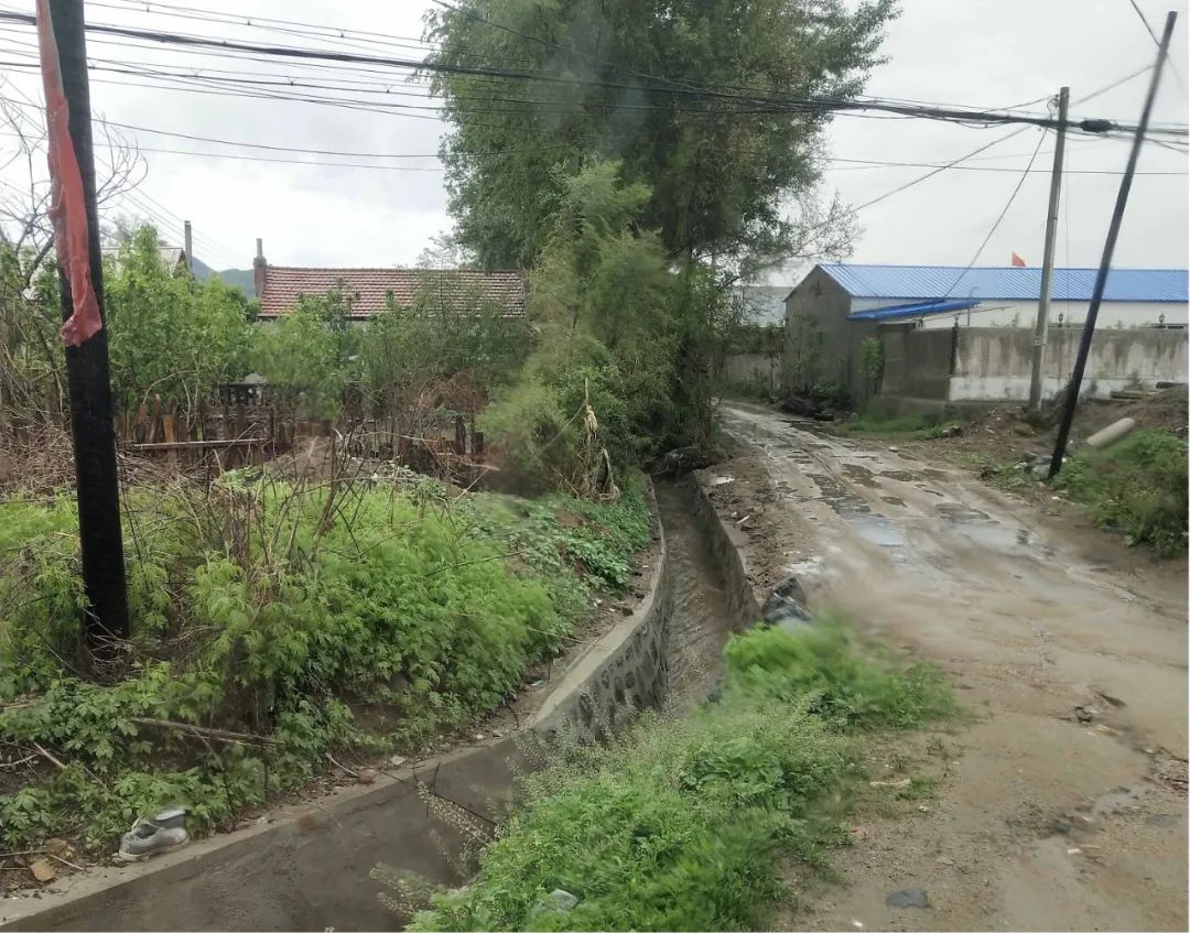 村里铺了柏油路 百姓心里笑开颜