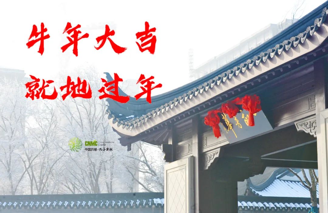 【网络中国节·春节】春节的正确打开方式