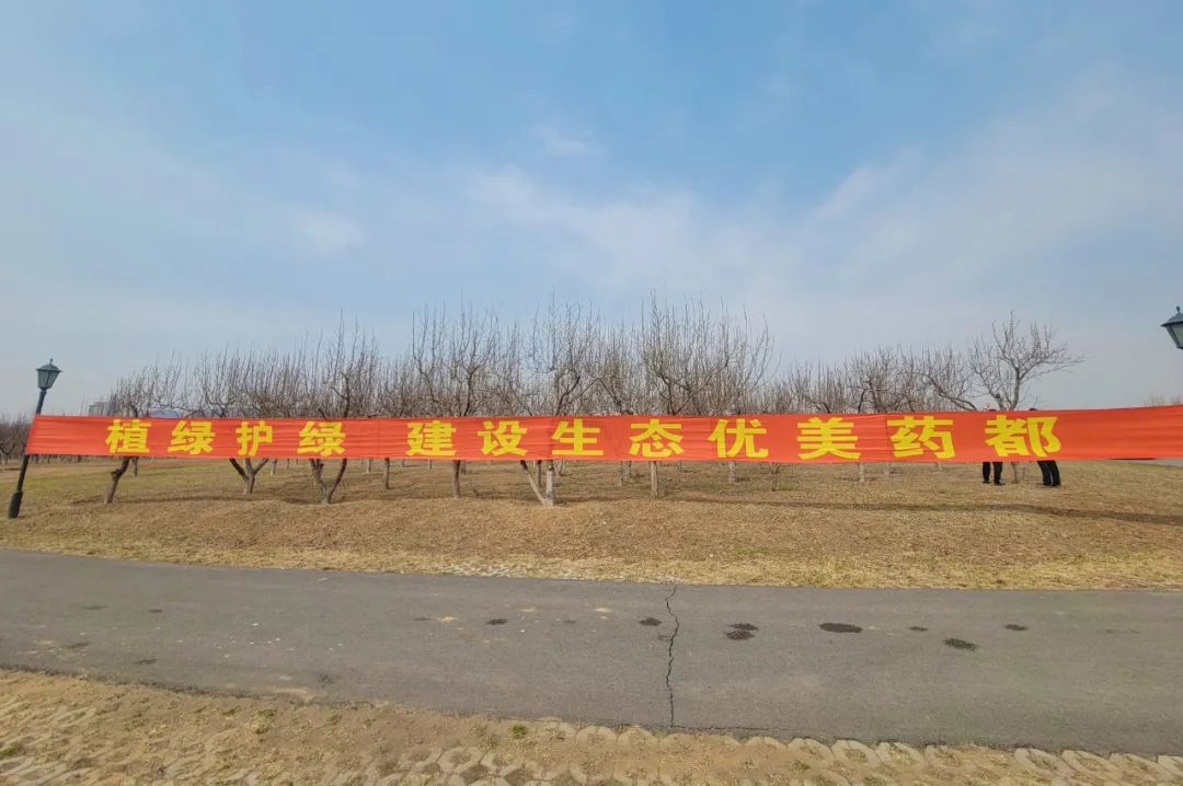 【药都要闻】植树添新绿 春意满药都——高新区组织开展义务植树认养活动