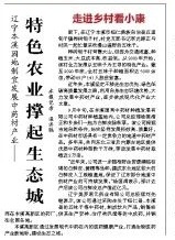 辽宁本溪因地制宜发展中药材产业——特色农业撑起生态城