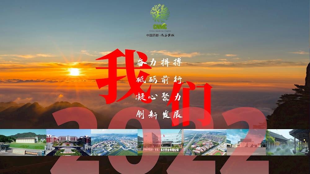 我们的2022