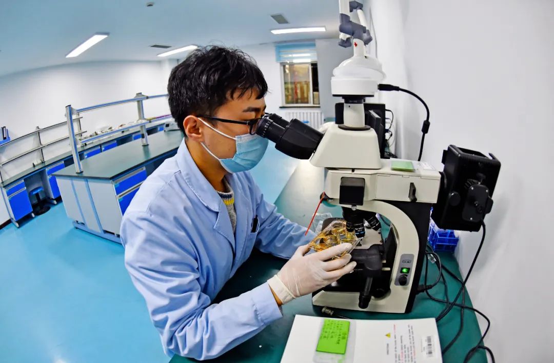 【瞪羚企业巡礼】辽宁千一内外兼修 加速度成就领跑者——走进辽宁千一测试评价科技发展有限公司