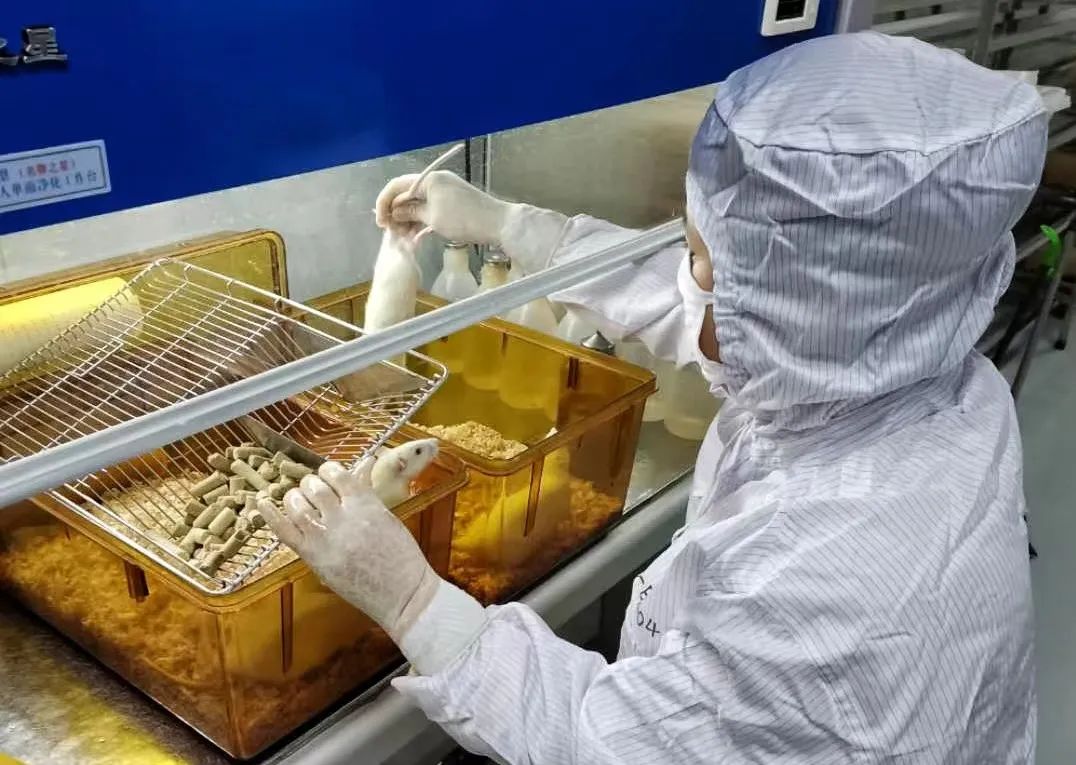 【瞪羚企业巡礼】一跃进入国内同行业前五，“鼠”你行——走进辽宁长生生物技术股份有限公司