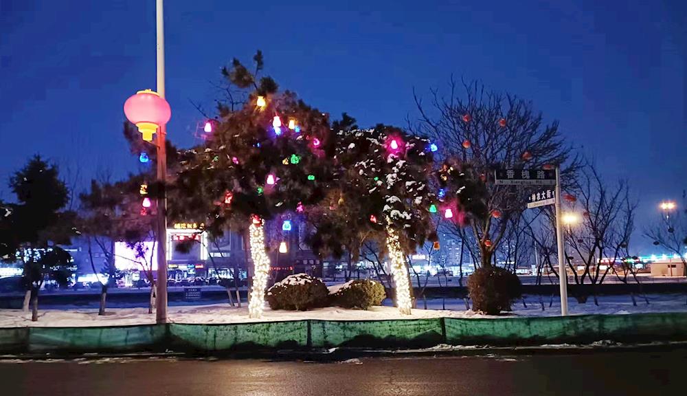 【药都要闻】高新区魅力彩灯扮靓城市夜景 打造多彩“节日盛装”