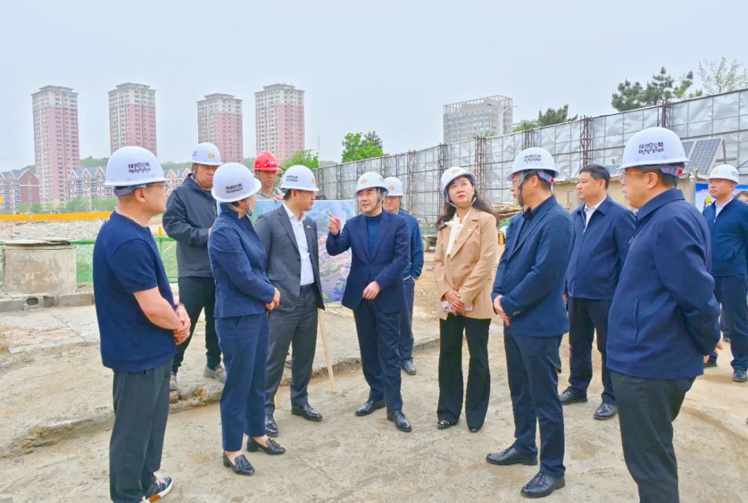 吴澜率队调研停缓建项目复工情况