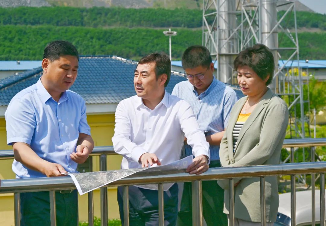 吴澜调研督导我市生态环境保护和治理工作