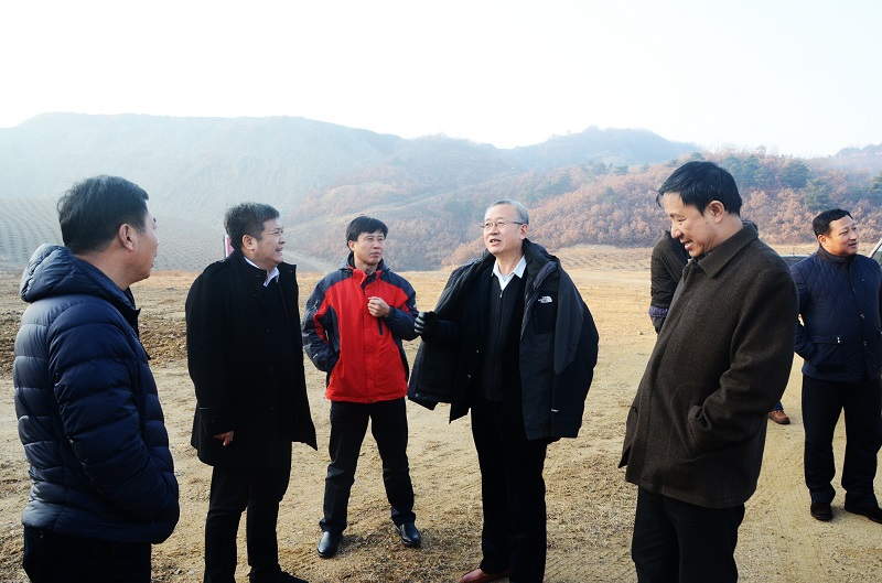 高新区青山工程闭坑矿山生态治理见成效
