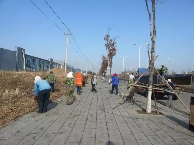 区城市管理局集中整治新接管公共绿地