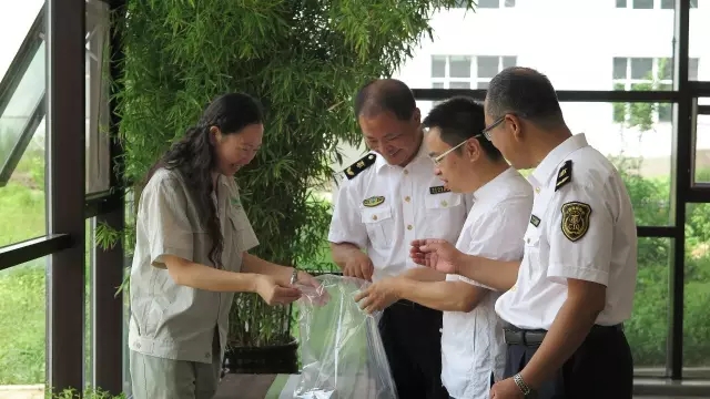 我市中药材首次出口法国