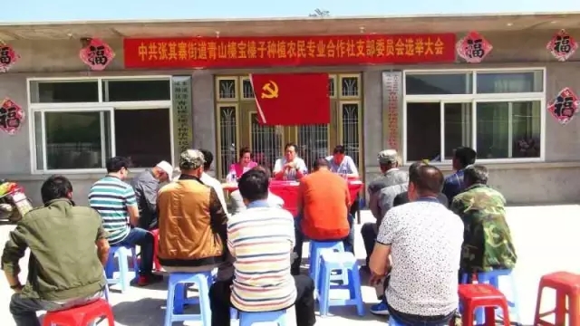 张其寨街道成立高新区首个农民专业合作社党支部